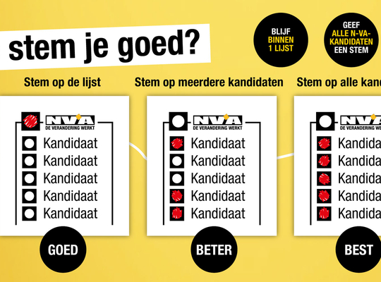 Hoe stem je goed?