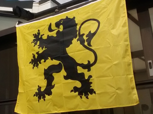 Vlaamse Leeuw
